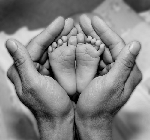 it’s baby season